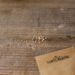 TOMATE COCKTAIL Clémentine - Graines BIO | Ferme de Sainte Marthe | Graines et Bio