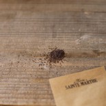 THYM SERPOLET - Graines BIO | Ferme de Sainte Marthe | Graines et Bio