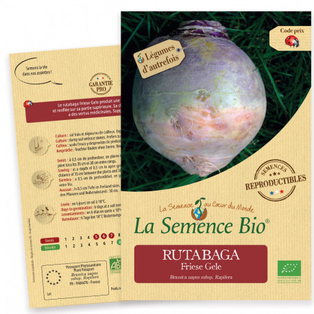 RUTABAGA - Graines BIO | La Semence Bio | Graines et Bio