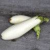 AUBERGINE BLANCHE Longue - Graines BIO | Ferme de Sainte Marthe | Graines et Bio