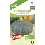 POTIMARRON Doux Vert d'HOKKAÏDO - Graines BIO | SANRIVAL | Graines et Bio