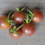 TOMATE BLACK CHERRY - Graines BIO