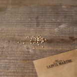 TOMATE CERISE Bulle - Graines non traitées | Ferme de Sainte Marthe | Graines et Bio