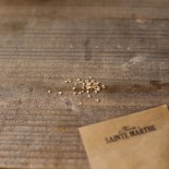 TOMATE GROSEILLE Rouge - Graines BIO | Ferme de Sainte Marthe | Graines et Bio