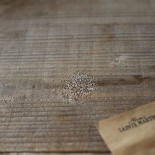 ACHILLÉE Millefeuille - Graines BIO | Ferme de Sainte Marthe | Graines et Bio