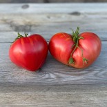 Tomate coeur graines bio pour semis