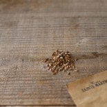ECHINACÉE ROSE - Graines BIO | Ferme de Sainte Marthe | Graines et Bio