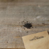 3 BASILICS en Mélange - Graines BIO | Ferme de Sainte Marthe | Graines et Bio