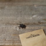 BASILIC GENOVESE - Graines BIO | Ferme de Sainte Marthe | Graines et Bio