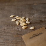 COURGE JACK O'LANTERN - Graines BIO | Ferme de Ste Marthe | Graines et Bio
