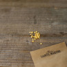 PIMENT JALAPENO ROUGE - Graines BIO | Ferme de Sainte Marthe | Graines et Bio