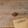 CARVI - Graines BIO | Ferme de Sainte Marthe | Graines et Bio