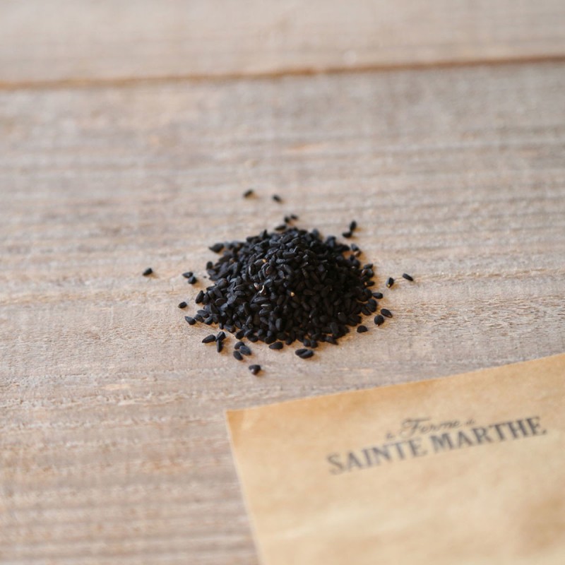 Graines De Nigelle Sativa (cumin Noir) - 250 Graines, Fleurs Blanches, Plante Aromatique Annuelle - Pour Jardin - 11