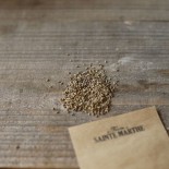 PERSIL COMMUN - Graines BIO | Ferme de Sainte Marthe | Graines et Bio