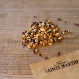 FLEURS GRIMPANTES en Mélange - Graines non traitées | Ferme de Sainte Marthe | Graines et Bio