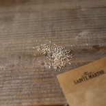 LAITUE POMMÉE Express - Graines BIO | Ferme de Sainte Marthe | Graines et Bio