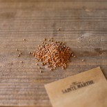 RADIS ASIATIQUE MISATO - Graines non traitées | Ferme de Sainte Marthe | Graines et Bio