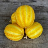 MINI MELON Mango - Graines BIO | Ferme de Sainte Marthe | Graines et Bio