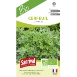 CERFEUIL COMMUN - Graines BIO