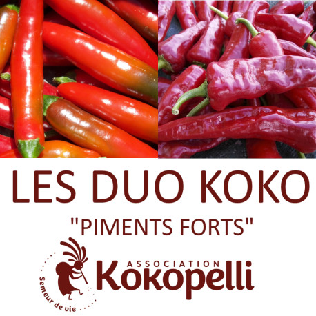 PIMENTS FORTS - DUO Kokopelli - Graines BIO | KOKOPELLI | Graines et Bio