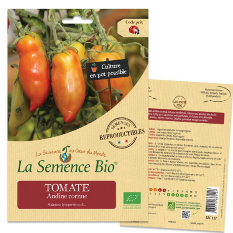 TOMATE ANDINE Cornue - Graines BIO | La Semence Bio | Graines et Bio