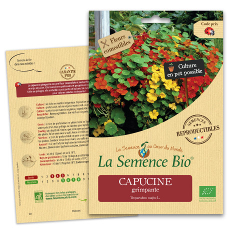 CAPUCINE Grimpante - Graines BIO | La Semence Bio | Graines et Bio