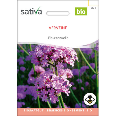 VERVEINE de Buenos Aires - Graines BIO | Sativa | Graines et Bio