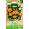 SOUCI Orange - Graines BIO | Vilmorin Bio | Graines et Bio
