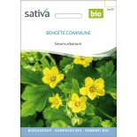 BENOITE COMMUNE - Graines BIO | Sativa | Graines et Bio