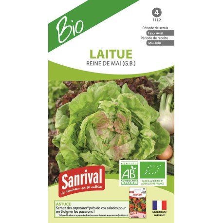 LAITUE POMMÉE "Reine de Mai" - Graines BIO | SANRIVAL | Graines et Bio LAITUE POMMÉE "Reine de Mai" - Graines BIO | SANRIVAL | Graines et Bio