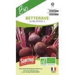 BETTERAVE GLOBE Détroit 2 -...