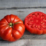 TOMATE COUILLES DE TAUREAU - Graines BIO