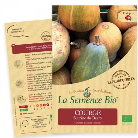 COURGE SUCRINE du Berry - Graines BIO | La Semence Bio | Graines et Bio