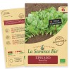 ÉPINARD BUTTERFLAY - Graines BIO | La Semence Bio | Graines et Bio