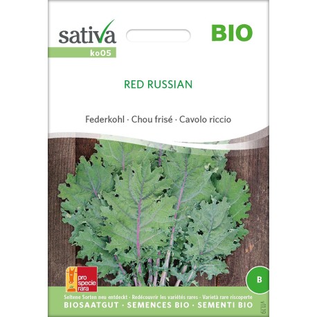 CHOU FRISÉ Red Russian - Graines BIO | Sativa | Graines et Bio