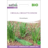 CIBOULAIL - Graines BIO | Sativa | Graines et Bio