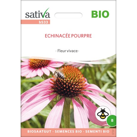 ECHINACÉE POURPRE - Graines BIO | Sativa | Graines et Bio