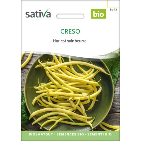 HARICOT NAIN BEURRE MANGETOUT Creso - Graines BIO | Sativa | Graines et Bio