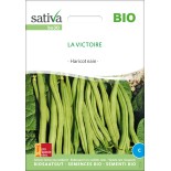 🫘 Graines de HARICOT - HARICOT NAIN MANGETOUT La Victoire- Graines BIO