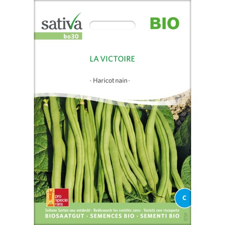 HARICOT NAIN MANGETOUT La Victoire- Graines BIO | Sativa | Graines et Bio