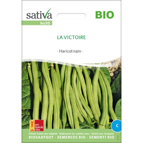HARICOT NAIN La Victoire- Graines BIO | Sativa | Graines et Bio