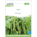 HARICOT NAIN Maxi - Graines BIO | Sativa | Graines et Bio