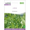 LIVÈCHE - Graines BIO | Sativa | Graines et Bio