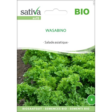 WASABINO - Graines BIO | Sativa | Graines et Bio
