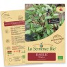 BASILIC RÉGLISSE - Graines BIO | La Semence Bio | Graines et Bio