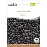 LENTILLE NOIRE Beluga - Graines BIO | Sativa | Graines et Bio