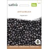 LENTILLE NOIRE Beluga - Graines BIO | Sativa | Graines et Bio