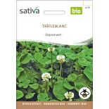TRÈFLE BLANC - Graines BIO | Sativa | Graines et Bio