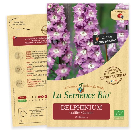 Delphinium Galilée Carmin - Graines Bio pour semis de La Semence Bio