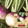 NAVET BLANC GLOBE - Graines BIO | La Semence Bio | Graines et Bio